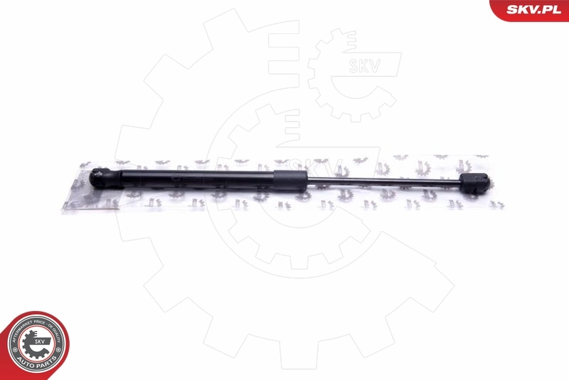 Gas Spring, boot/cargo area